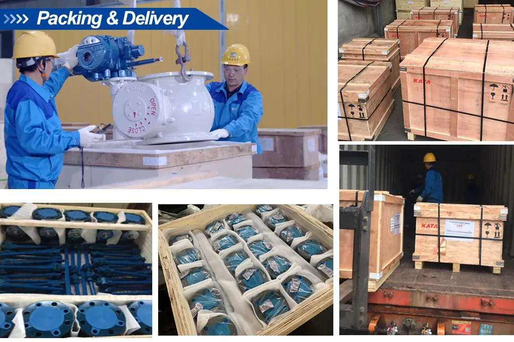 CE/ISO9001/ISO14001 Forged Stainless Steel F316 Reduced Bore Socket Welded Gate Valve