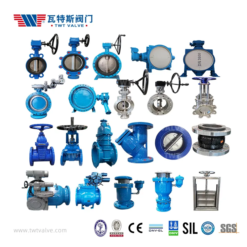 China 65 Years Factory Gate Valve/Air Relief Valve /Half Ball Valve/Non-Return Valve/Butterfly Valve