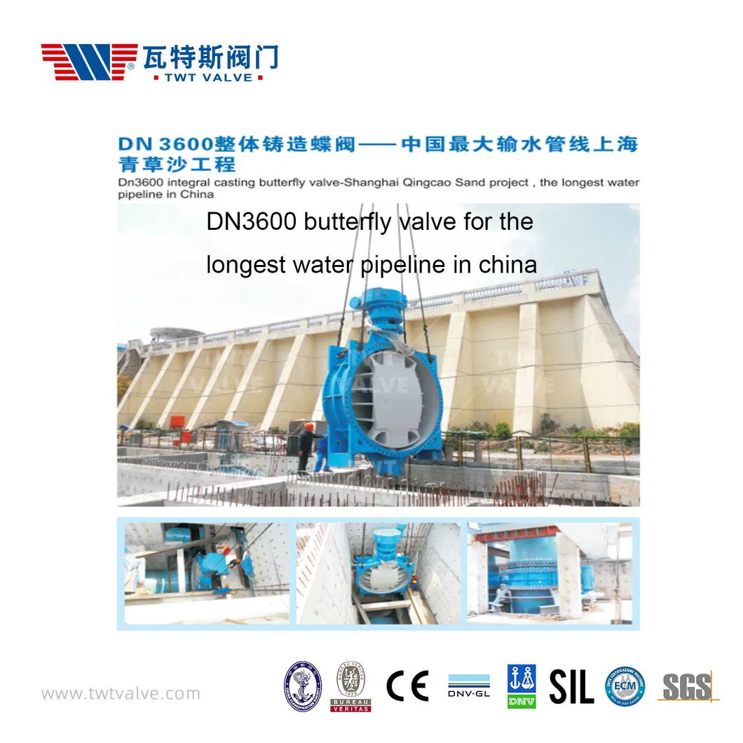 China 65 Years Factory Gate Valve/Air Relief Valve /Half Ball Valve/Non-Return Valve/Butterfly Valve