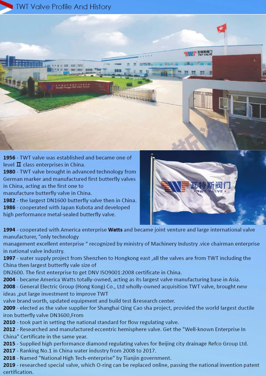 China 65 Years Factory Gate Valve/Air Relief Valve /Half Ball Valve/Non-Return Valve/Butterfly Valve