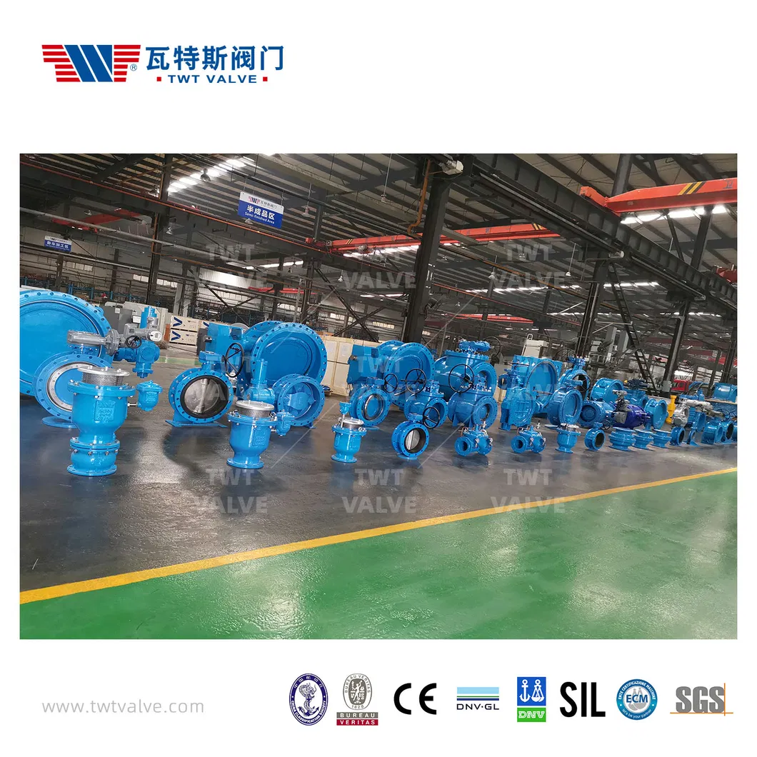 China 65 Years Factory Gate Valve/Air Relief Valve /Half Ball Valve/Non-Return Valve/Butterfly Valve
