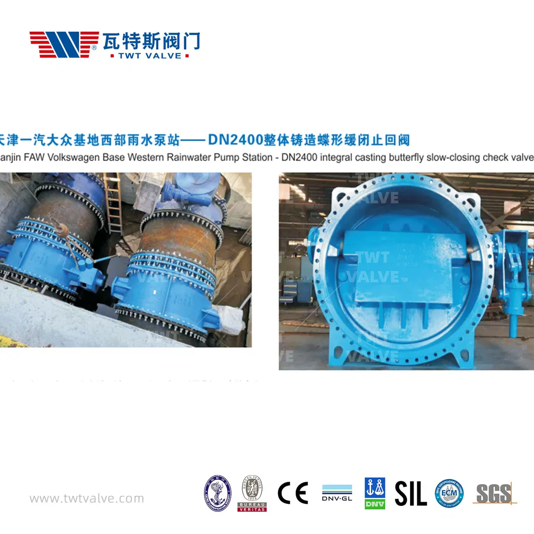 China 65 Years Factory Gate Valve/Air Relief Valve /Half Ball Valve/Non-Return Valve/Butterfly Valve