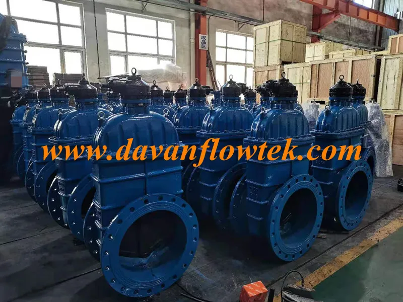 China DN700 BS5163 Rubber Wedge Resilient Seat Gear Opeated Pn10 Flanged Water Ductile Iron Ggg40 Gate Valve