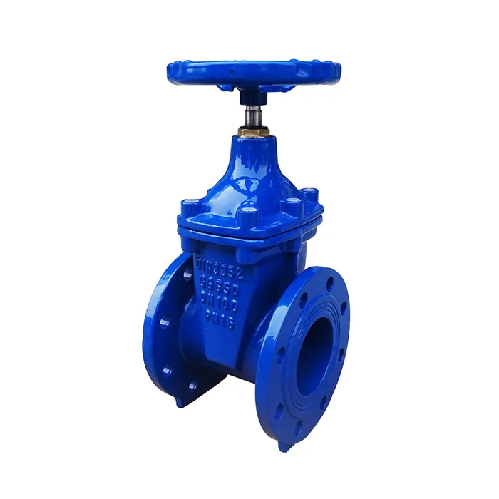China High Pressure 4 Inch DIN F4 Ductile Cast Iron Ggg50 Resilient Seated Nrs Sluice Gate Valve Factory