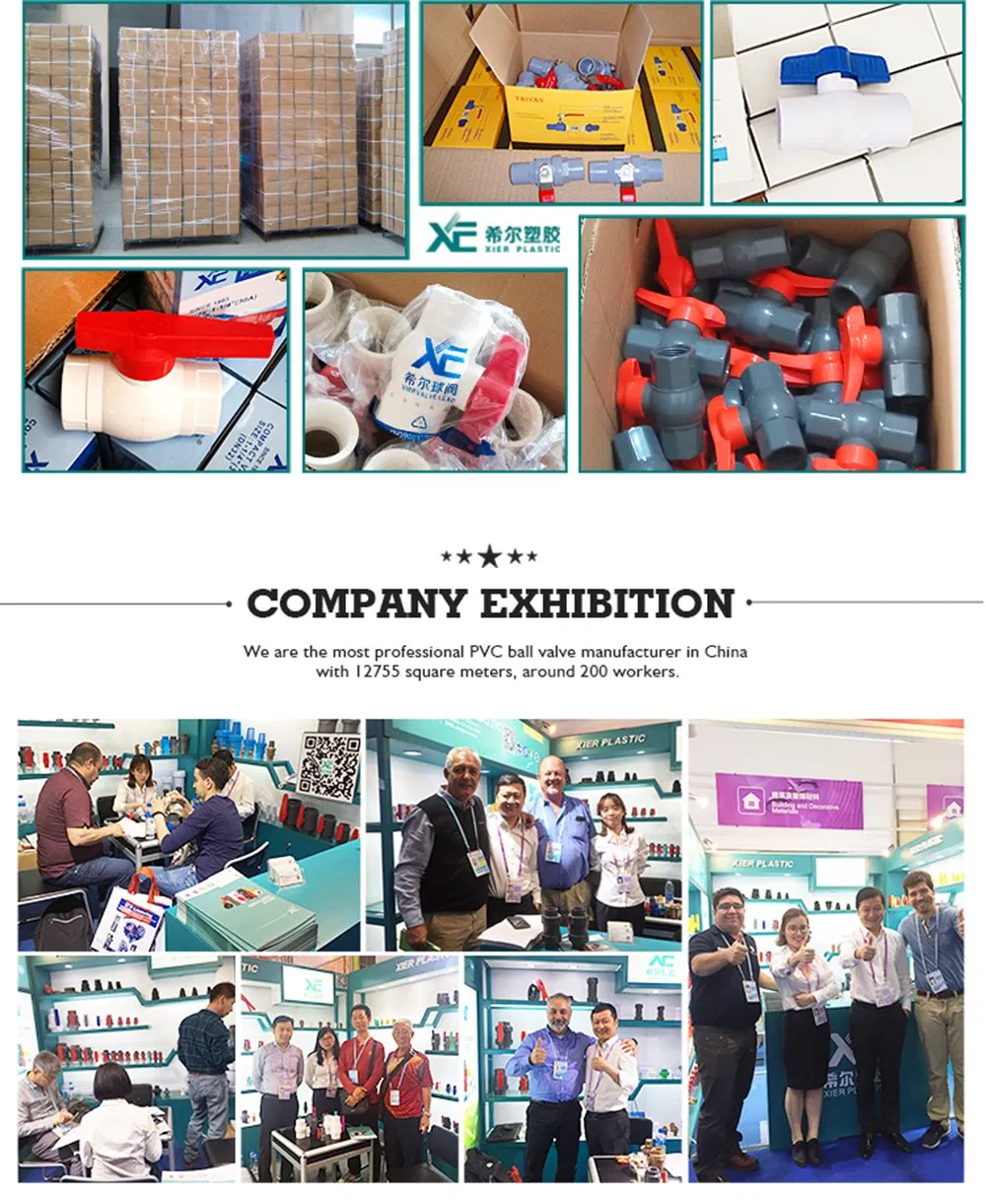 China High Quality Red Xe PVC Cns Standard Pump New Foot Valve