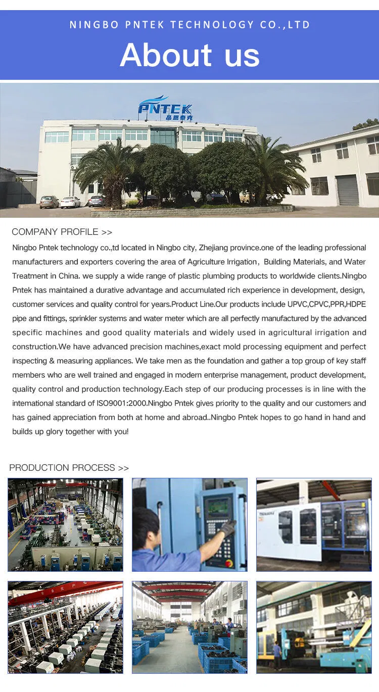 China Supplier Free Sample Custom Plastic Irrigation Valves Types PVC Compact Ball Vale for Irrigation