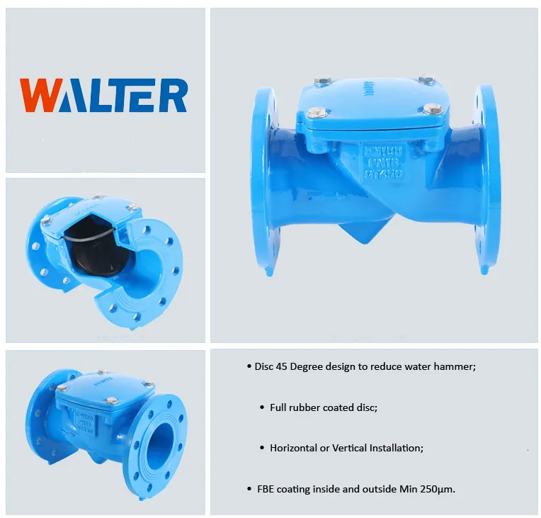 DI+EPDM Disc Swing Check Valve
