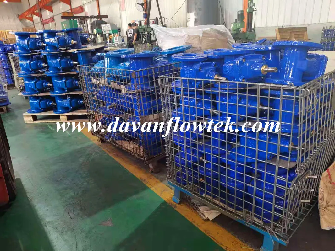 DIN / BS Standard Gate Valve Ductile Iron Ggg40 Gate Valve Flange Gate Valve Rubber Wedge Gate Valve Handwheel /Gear Operation Gate Valve Factory Gate Valve