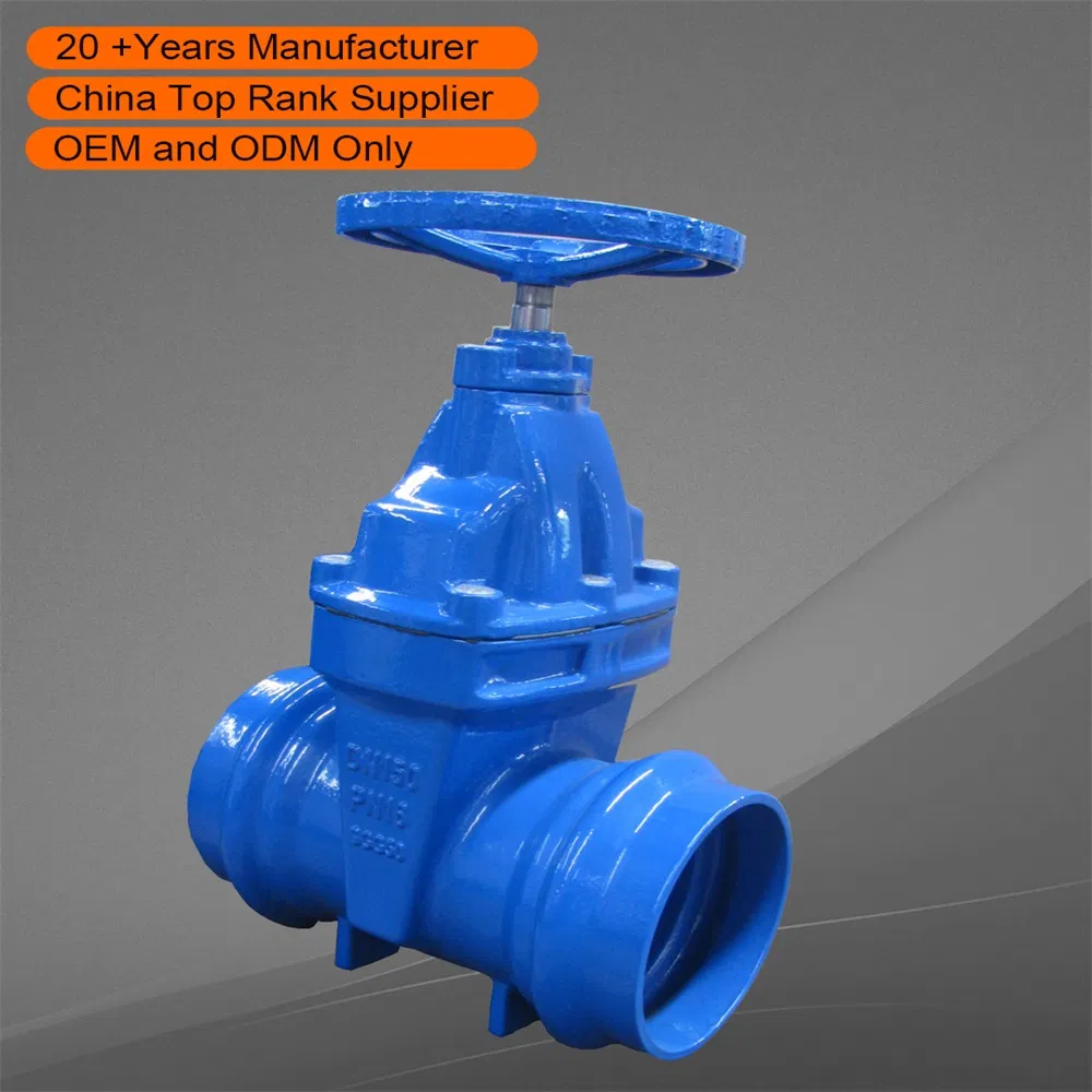 DIN F4 Big Pinch Valve