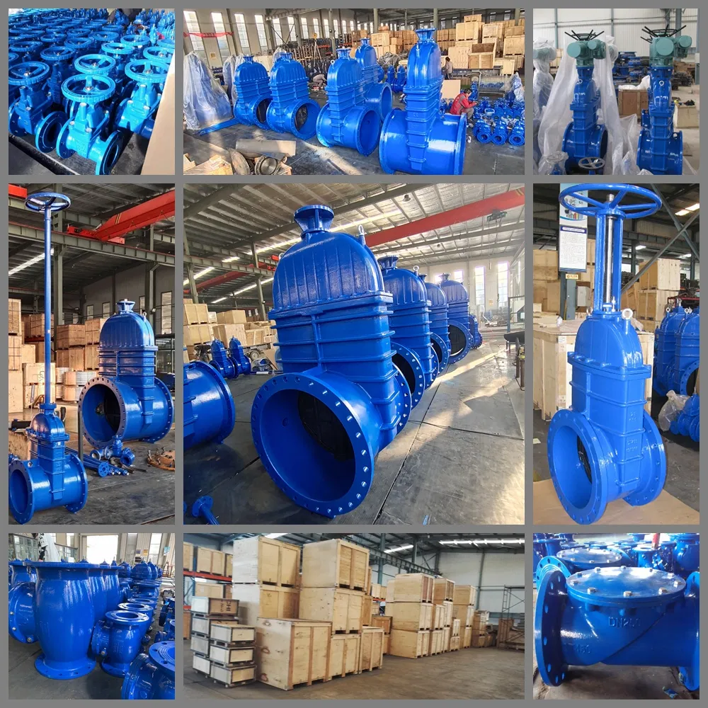 DIN F4 Big Pinch Valve