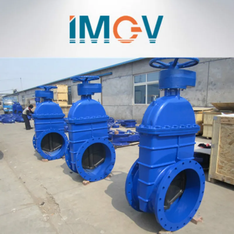 DIN3352/En 1171 Dn350-Dn800 Big Size Resilient Seated Gate Valve