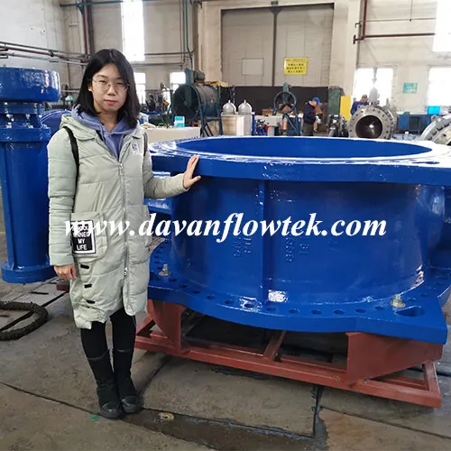 DN1500 Pn16 En593 14 China Factory Ductile Iron Ggg50 Gear Operated Double Flange Butterfly Valve Resilient Seat Double Offset / Eccentric Butterfly Valve