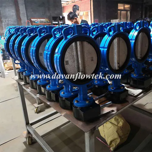 DN250 Cast Ductile Iron Wafer Lug Flanged Type EPDM Seat Butterfly Valve