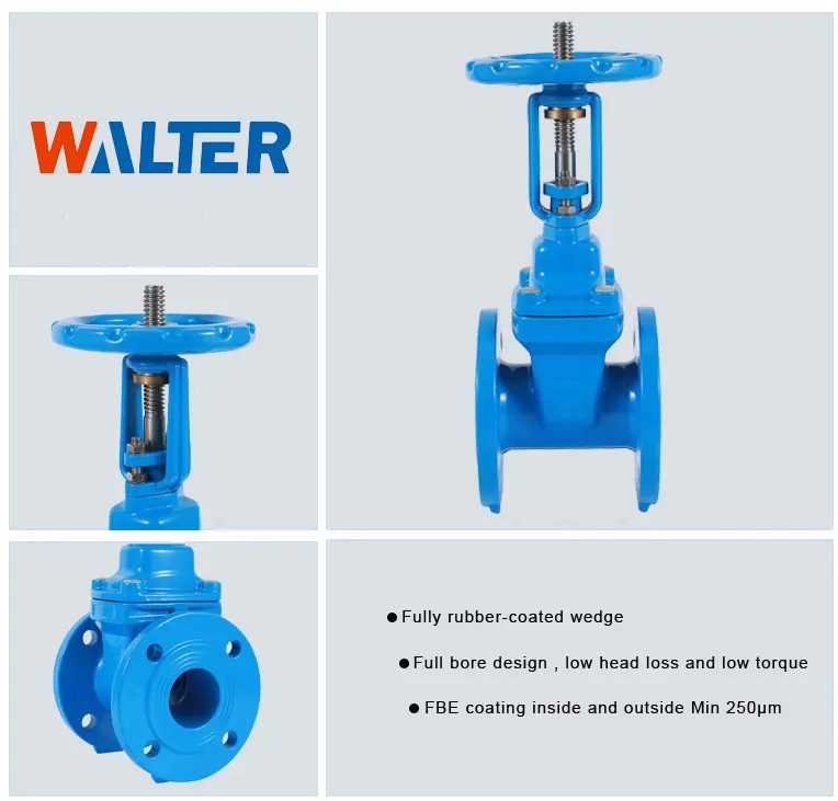 Ductile Iron Flanged Rising Stem Water Gate Valve Manual Operated Pn16 DN100