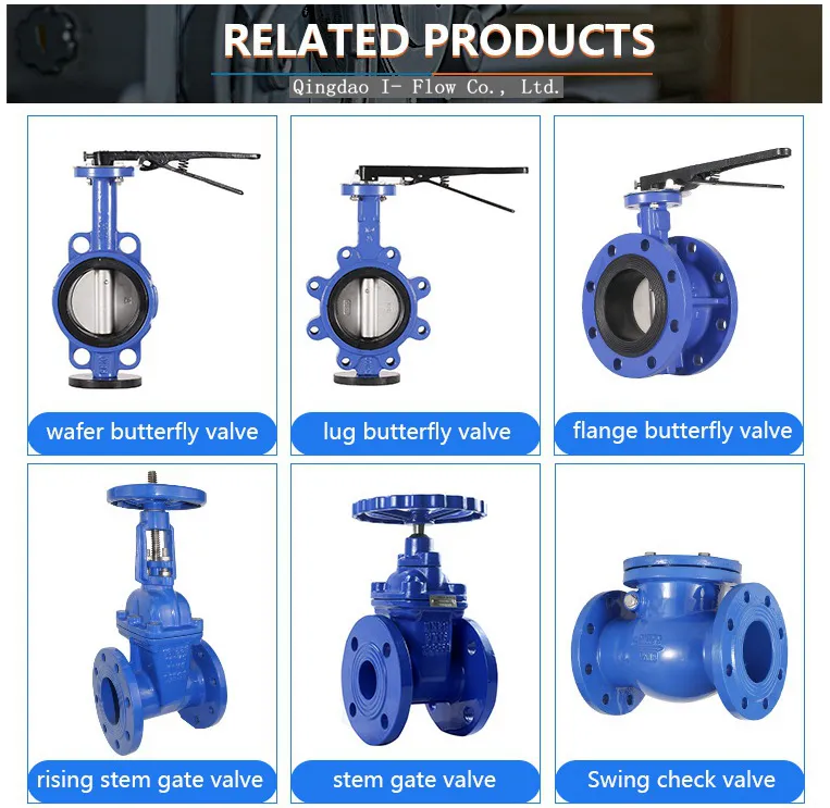 Ductile Iron Foot Valve with Stainless Steel Screen Vertical Type Check Valve