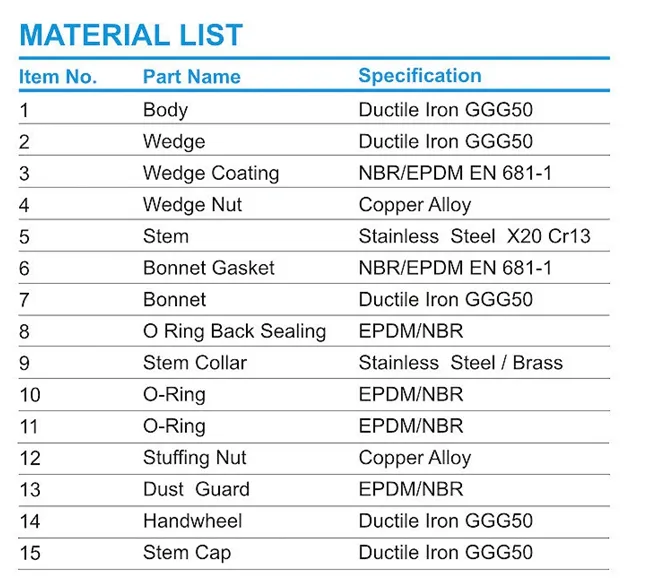 Ductile Iron Resilient Seated DN65 Pn16 Flanged Gate Valve with Price List