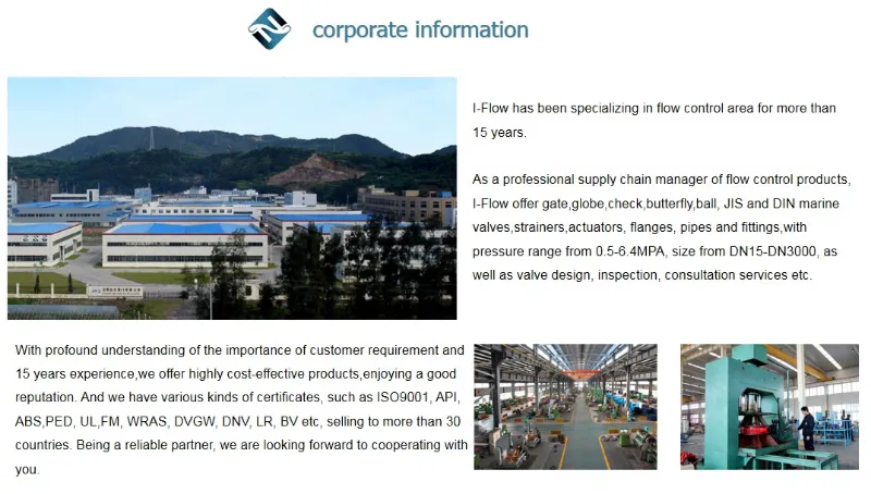 Duo Check Valve with Bronze Stainess Steel Disc in Pn16 ANSI150