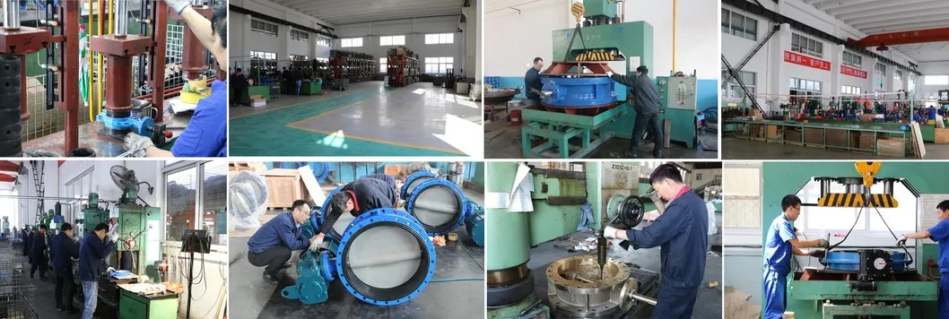 Eccentric Offset Double Flanged Butterfly Valve En558 Series 13 and 14