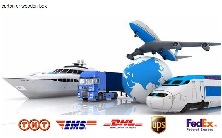 Electromagnetic Gas Valve Solenoid Valve for Combustion Equipments