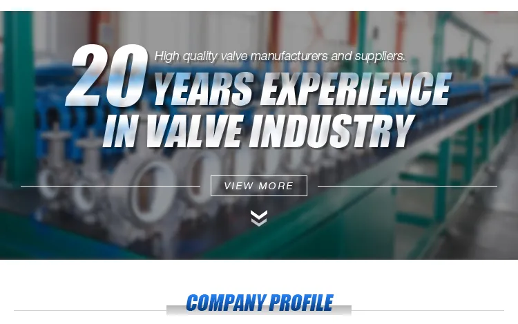 Epoxy Resin Sprayed Blue Pn6 DN25 DN500 Butterfly Valve with Handle