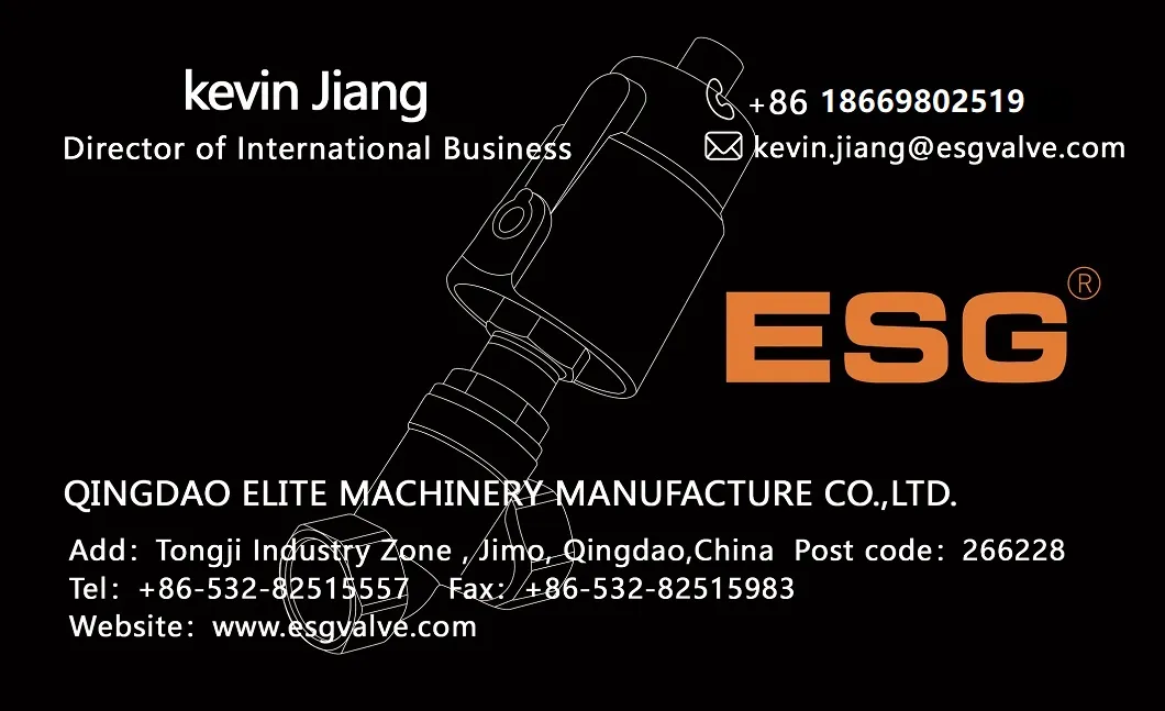 Esg Stainless Steel Pnaumatic Diaphragm Valve with FDA Approved
