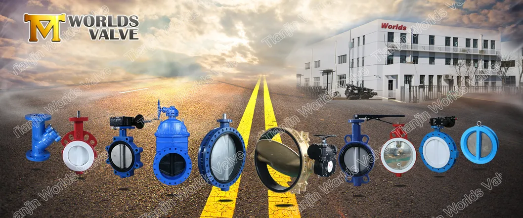 Flange Connection API/DIN/En593/Awwa Butterfly Valve with Gearbox Worm Gear