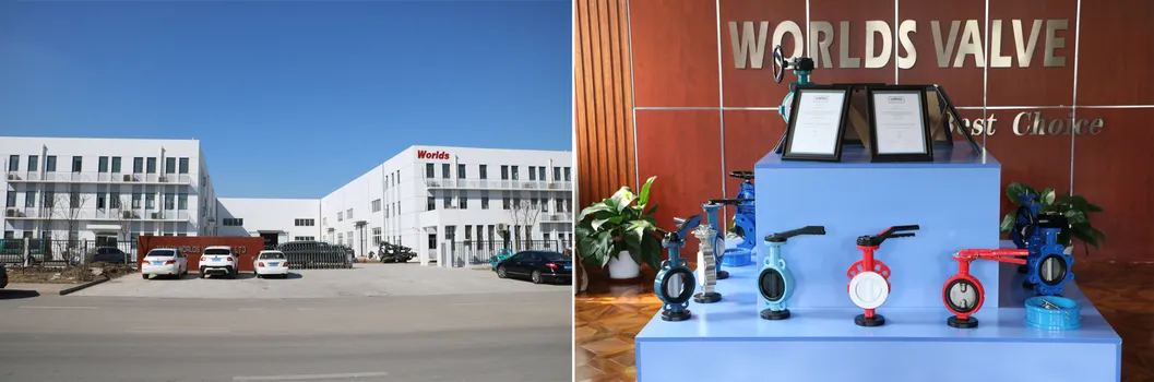 Flange Connection API/DIN/En593/Awwa Butterfly Valve with Gearbox Worm Gear