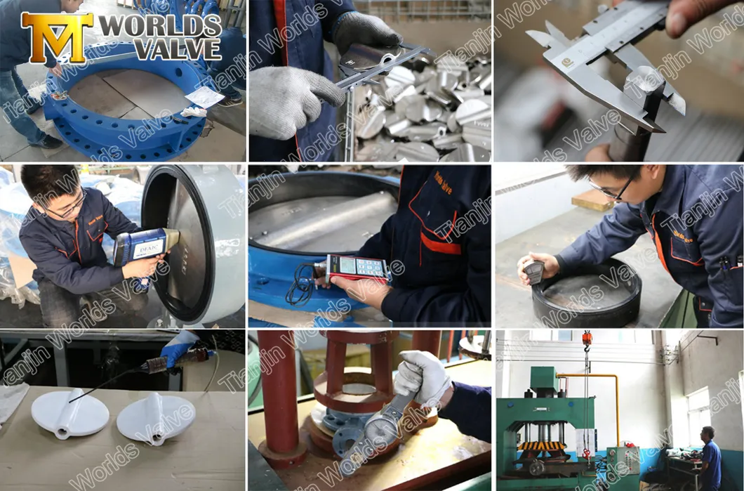 Flange Connection API/DIN/En593/Awwa Butterfly Valve with Gearbox Worm Gear