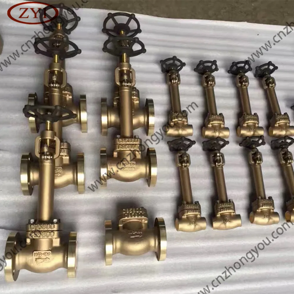Flange DN15 Pn16 F304L Forged Gate Valve