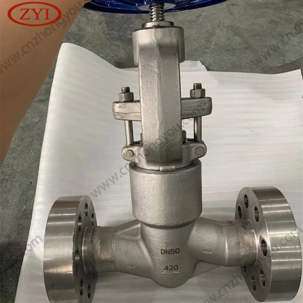 Flange DN15 Pn16 F304L Forged Gate Valve