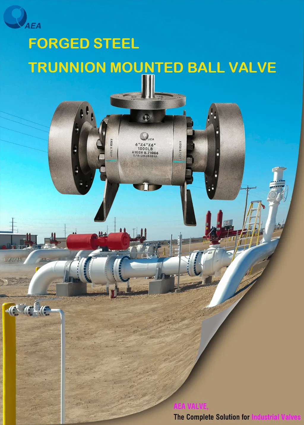 Forged Steel Side Entry Full Bore Reduced Bore Split Bolted Body Inconel Stellite Weld Overlay Ball Double Block and Bleed Flanged Trunnion Mounted Ball Valve
