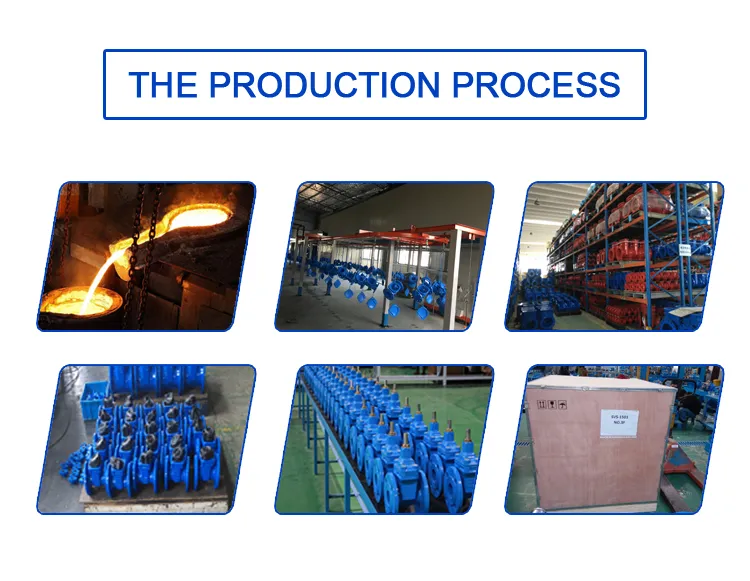GGG50/EN-GJS500-7 Gland Rising-Stem Gate Valve