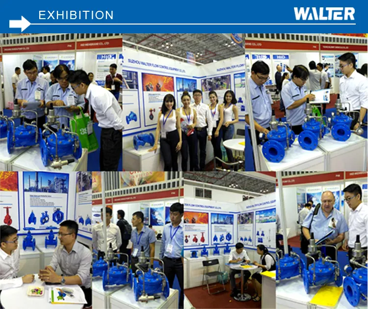 GGG50/EN-GJS500-7 Gland Rising-Stem Gate Valve
