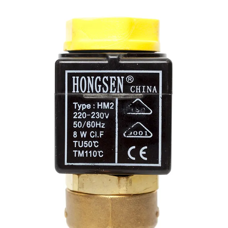 Hongsen 10 Type 1068 -3 Solenoid Valve (welded port)