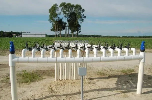 Irrigation Use Air Vacuum Release Relief Valve for Farm NPT, BSPT