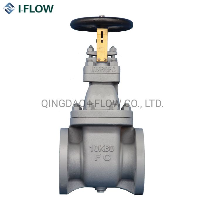 JIS F 7364 10K Marine Cast Iron Gate Valves for Sea Water