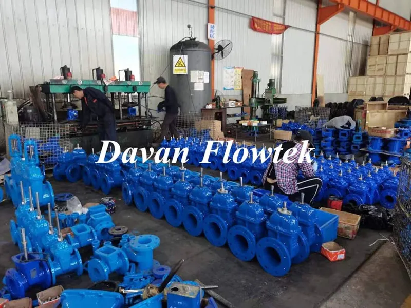 Light Type DN50-300 Rubber Wedge Non Rising Stem Ductile Iron Water Gate Valve