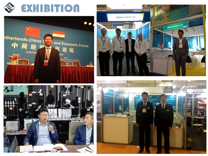 Lug Type Butterfly En593 Pn10/Pn16/Pn25/Class 125