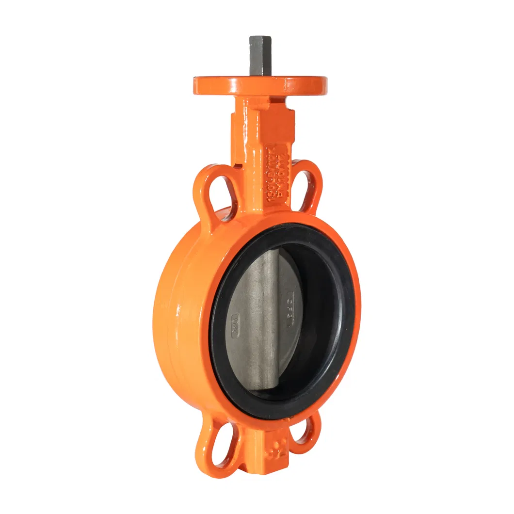 Made in China ANSI/ En1092/ JIS 10K/ BS 4504 Butterfly Check Valve