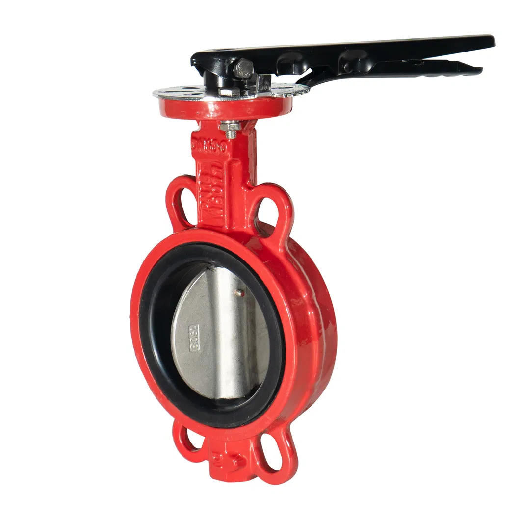 Made in China ANSI/ En1092/ JIS 10K/ BS 4504 Butterfly Check Valve