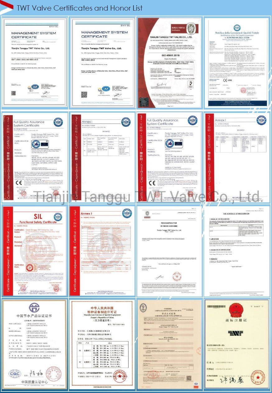 Manual Ball Valve, Wcb Worm Gear Eccentric Ball Valve
