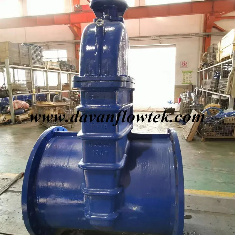 Manual Operated Cast Ductile Iron Ggg50 Rising Stem Rubber Wedge Water DIN Standard Gate Valve