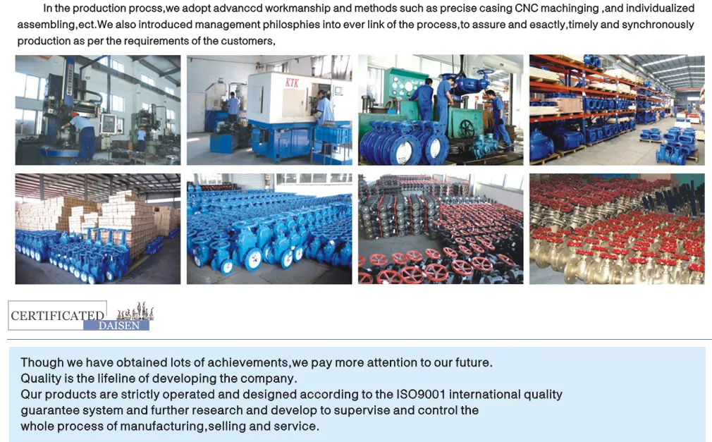 Micro-Resistance Ease Closure Butterfly Check Valve with Ce ISO9001 Approved Hh48 49X/H-10/16/25 (C)