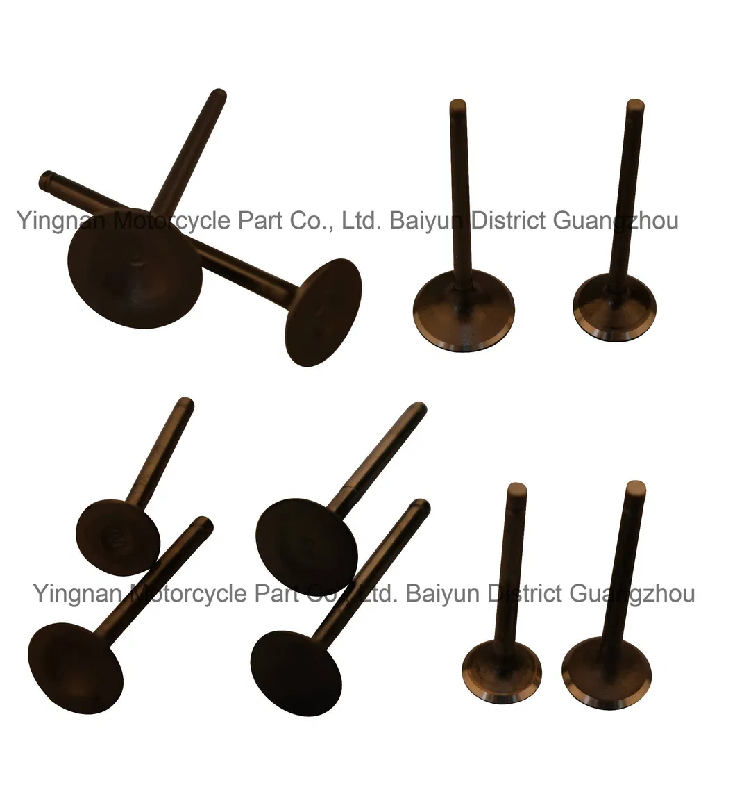 Motorcycle Parts Motorcycle Valve Set for