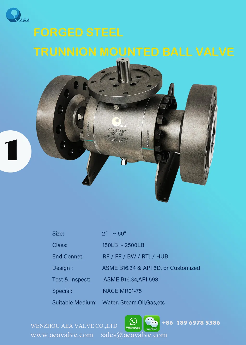 Nace Mr0175 API 6D Bolted Body Reduced Full Bore Side Entry Soft Rptfe Devlon Peek Seat Insert Flanged Connection Trunnion Support Ball Valve