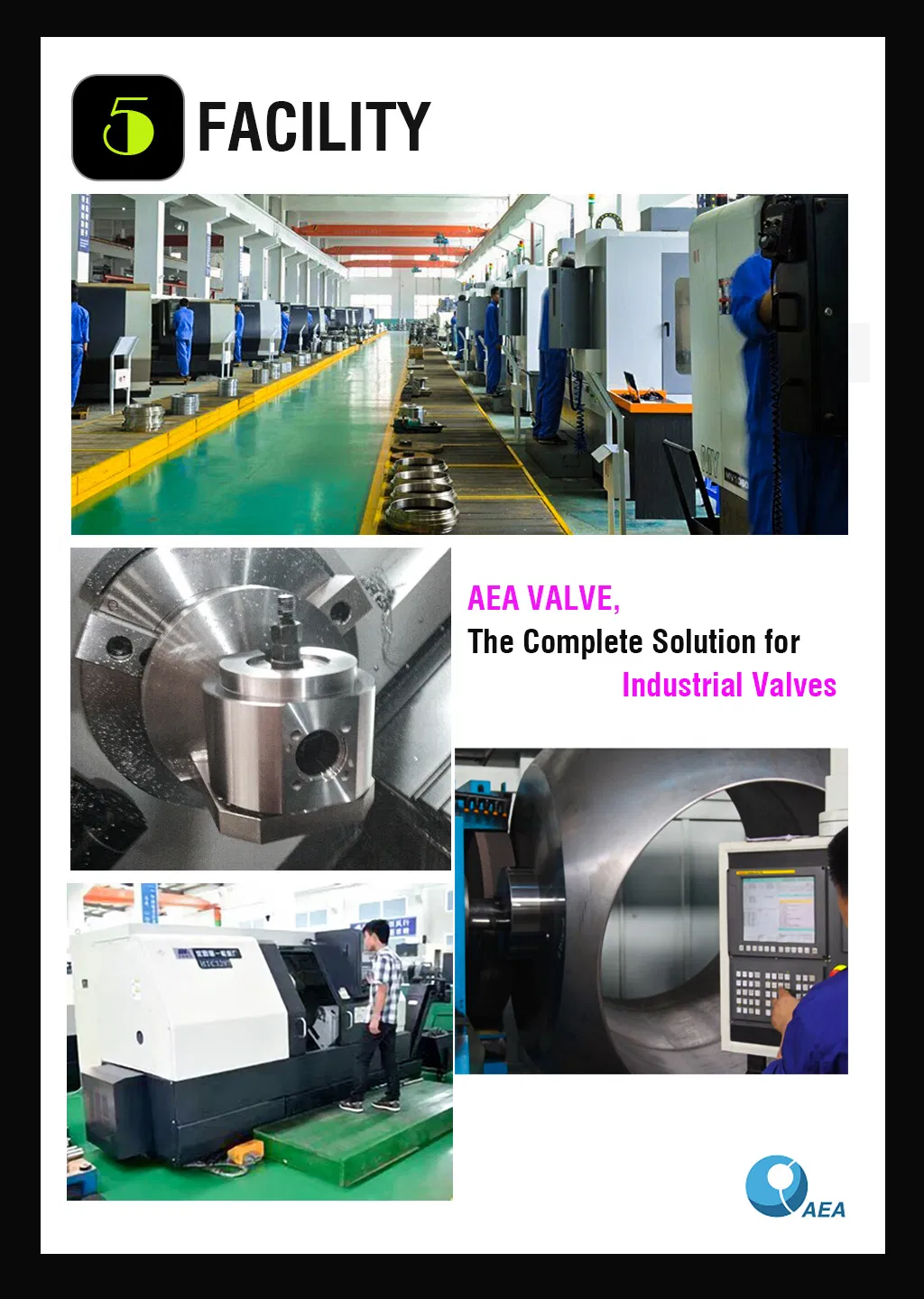 Nace Mr0175 API 6D Bolted Body Reduced Full Bore Side Entry Soft Rptfe Devlon Peek Seat Insert Flanged Connection Trunnion Support Ball Valve