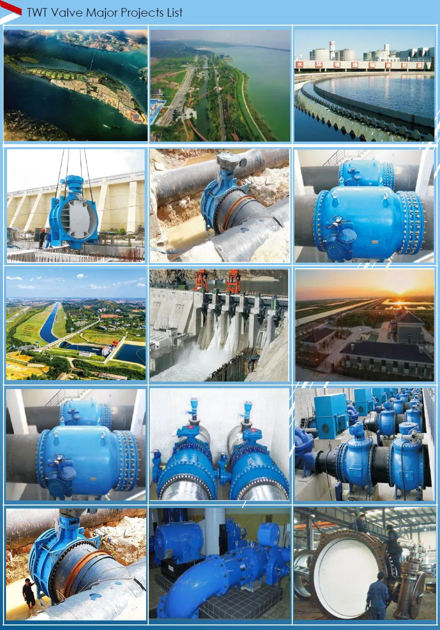 NBR/EPDM/PTFE/Viton Wafer Lug Double Flange Butterfly Valve