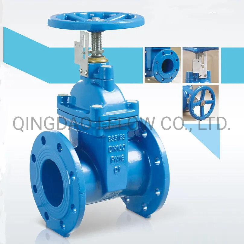 Pn10/16 Non-Rising Stem Resilient Seat Ductile Iron Gate Valve Price with Stem Cap