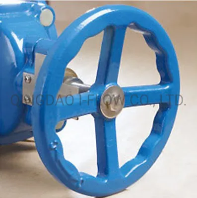 Pn10/16 Non-Rising Stem Resilient Seat Ductile Iron Gate Valve Price with Stem Cap