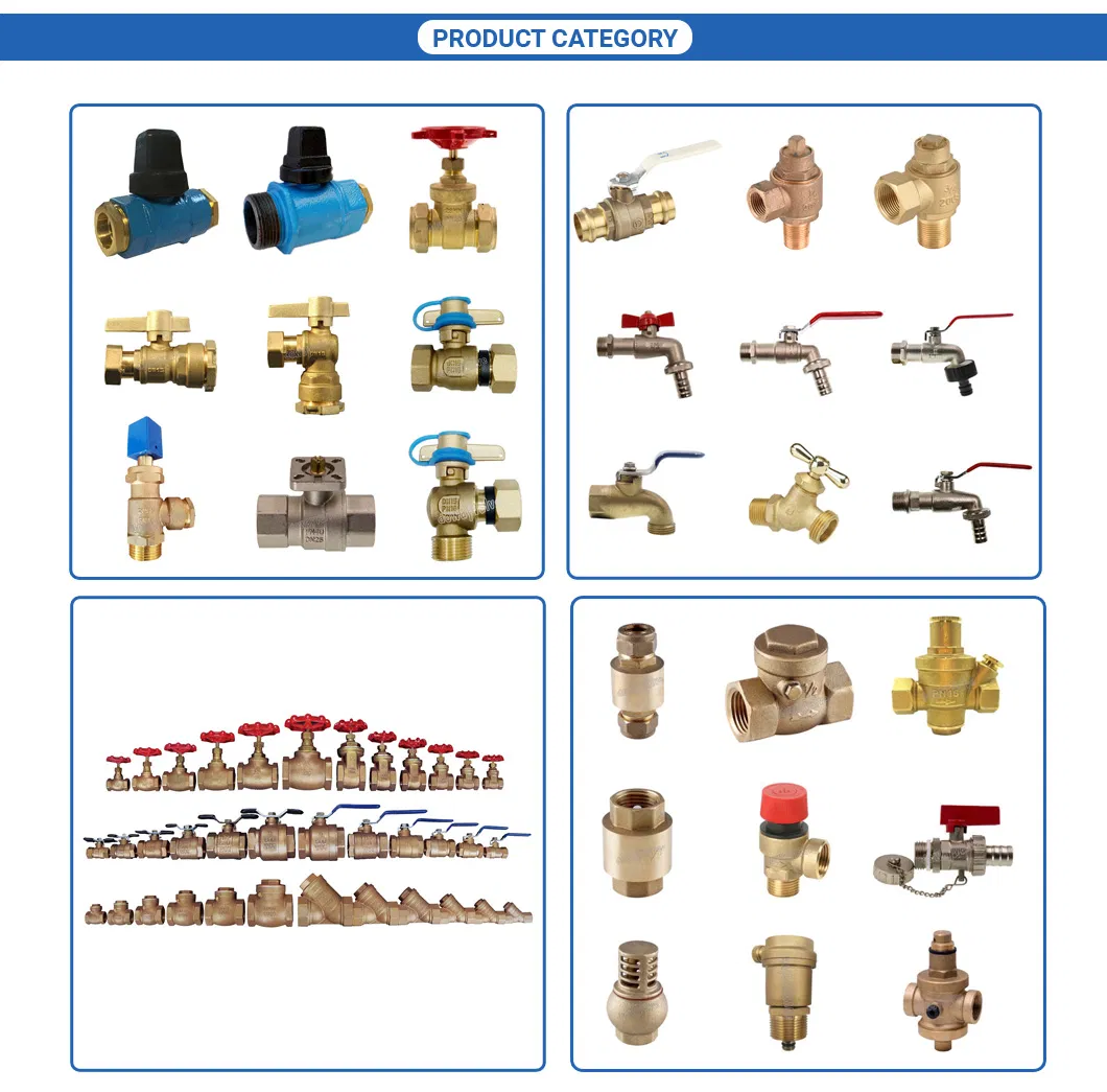 Pn20 OEM Gate Valve Swing Check Global Valves Bronze Strainer Flanged Valve